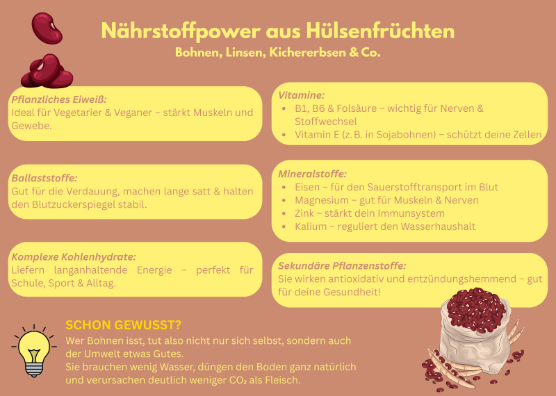 Hulsenfruchte6