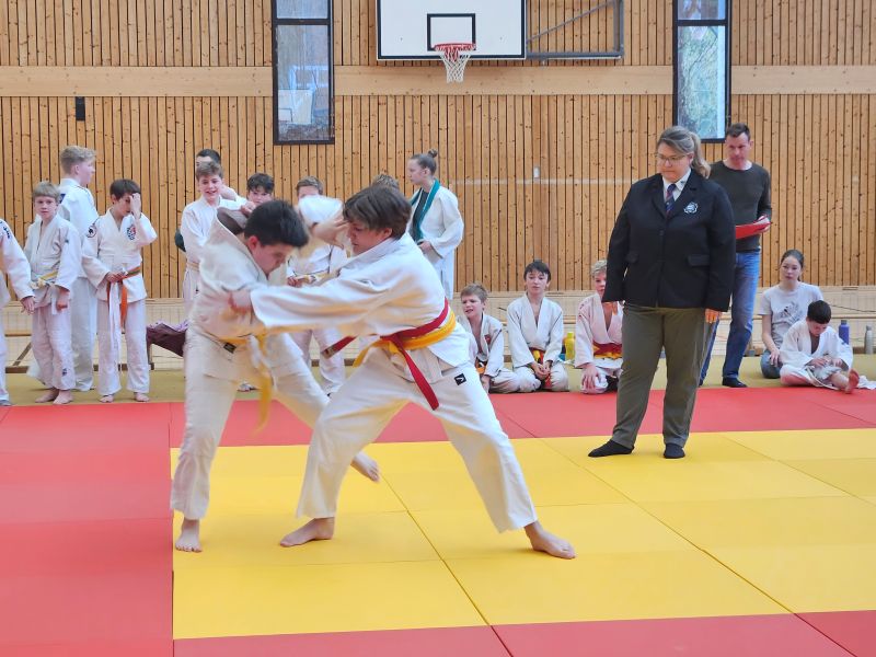Judo5HP