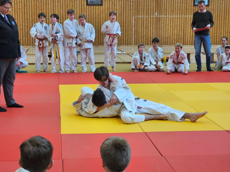 Judo6HP