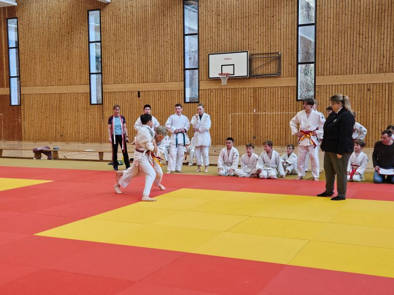 Judo7HP