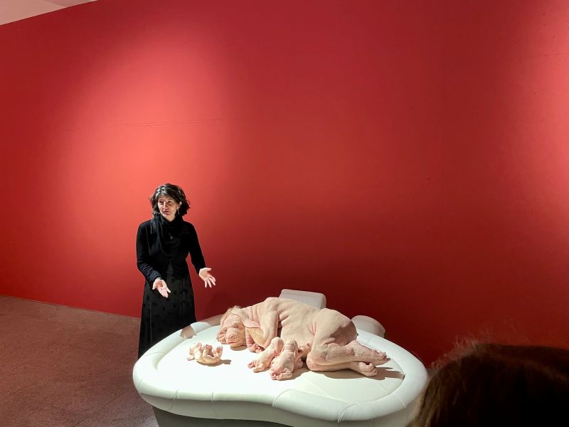 Piccinini2